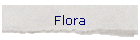 Flora