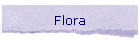 Flora