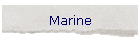 Marine